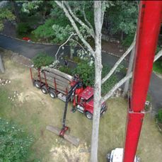 High Lift